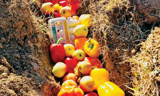 The Gift of Soil: How Composting Builds Community The Gift of Soil: How Composting Builds Community